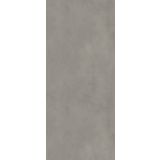 SPC wandpaneel Essence 120x280cm
