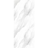 SPC wandpaneel Revolution 120x260cm