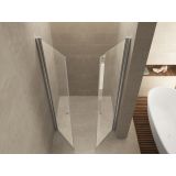 Swing door Luna