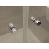 Swing door Luna