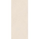 SPC wandpaneel Revolution 120x260cm